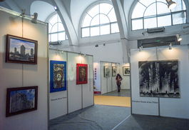 2013湖南首届艺术品博览会在长沙举行 国内外 省内外的许多书画 艺术品博览会 手动咔嚓 红图